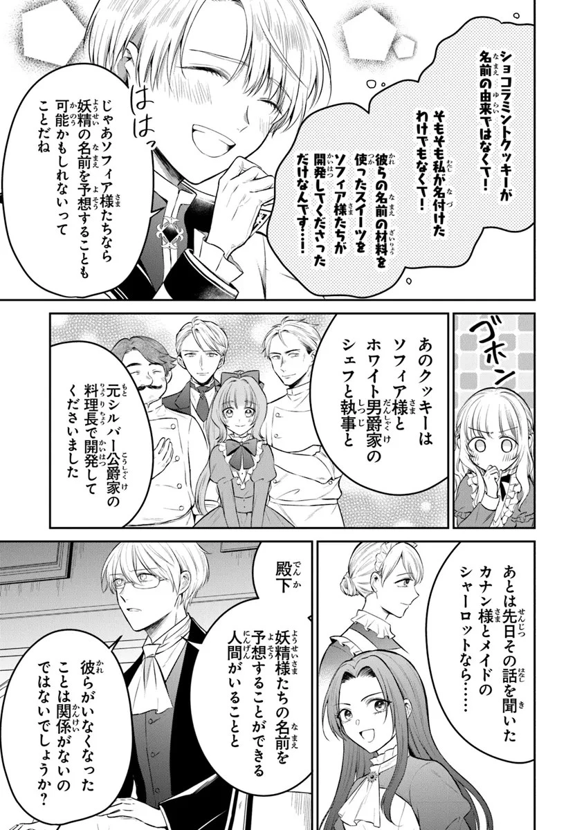 義妹が聖女だからと婚約破棄されましたが、私は妖精の愛し子です 第21話 - 13