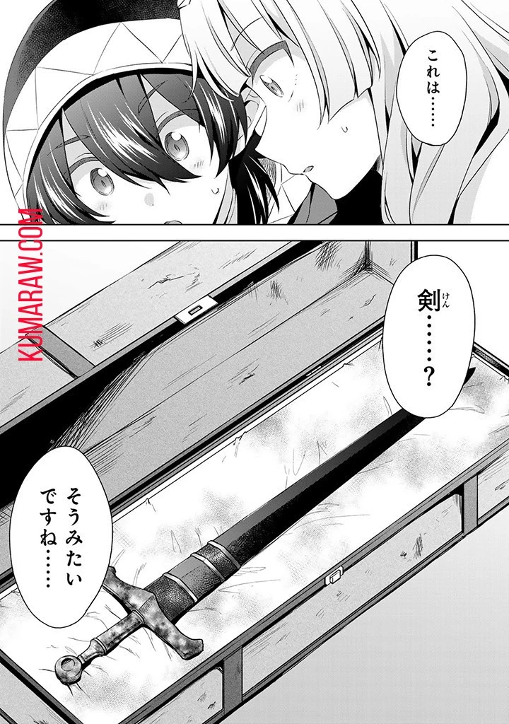 真の聖女である私は追放されました。だからこの国はもう終わりです 第33話 - 2