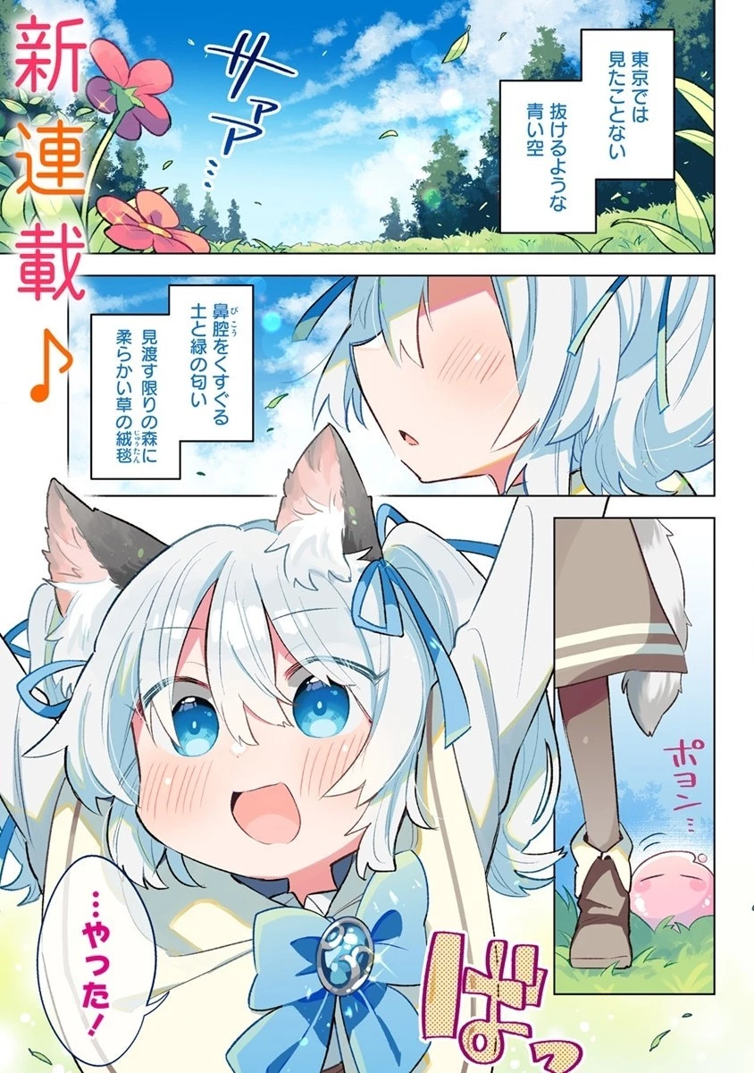 猫耳少女は森でスローライフを送りたい ～もふもふは所望しましたが、聖女とか王子様とかは注文外です～ 第1話 - 1