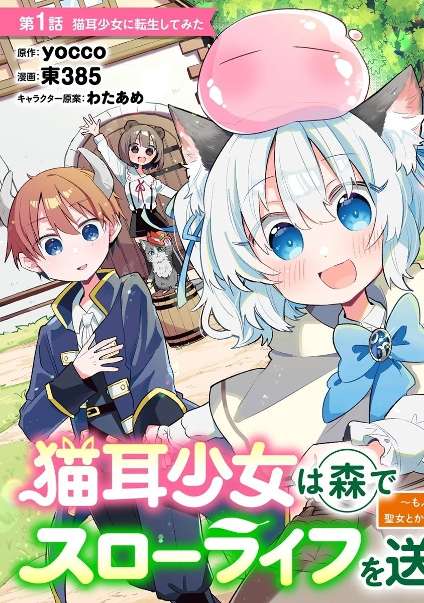 猫耳少女は森でスローライフを送りたい ～もふもふは所望しましたが、聖女とか王子様とかは注文外です～ 第1話 - 3