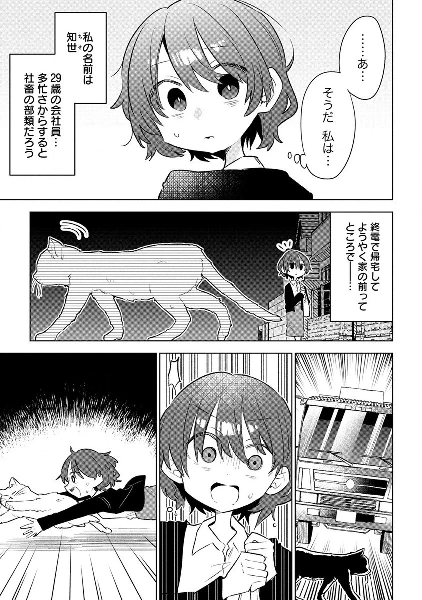猫耳少女は森でスローライフを送りたい ～もふもふは所望しましたが、聖女とか王子様とかは注文外です～ 第1話 - 5