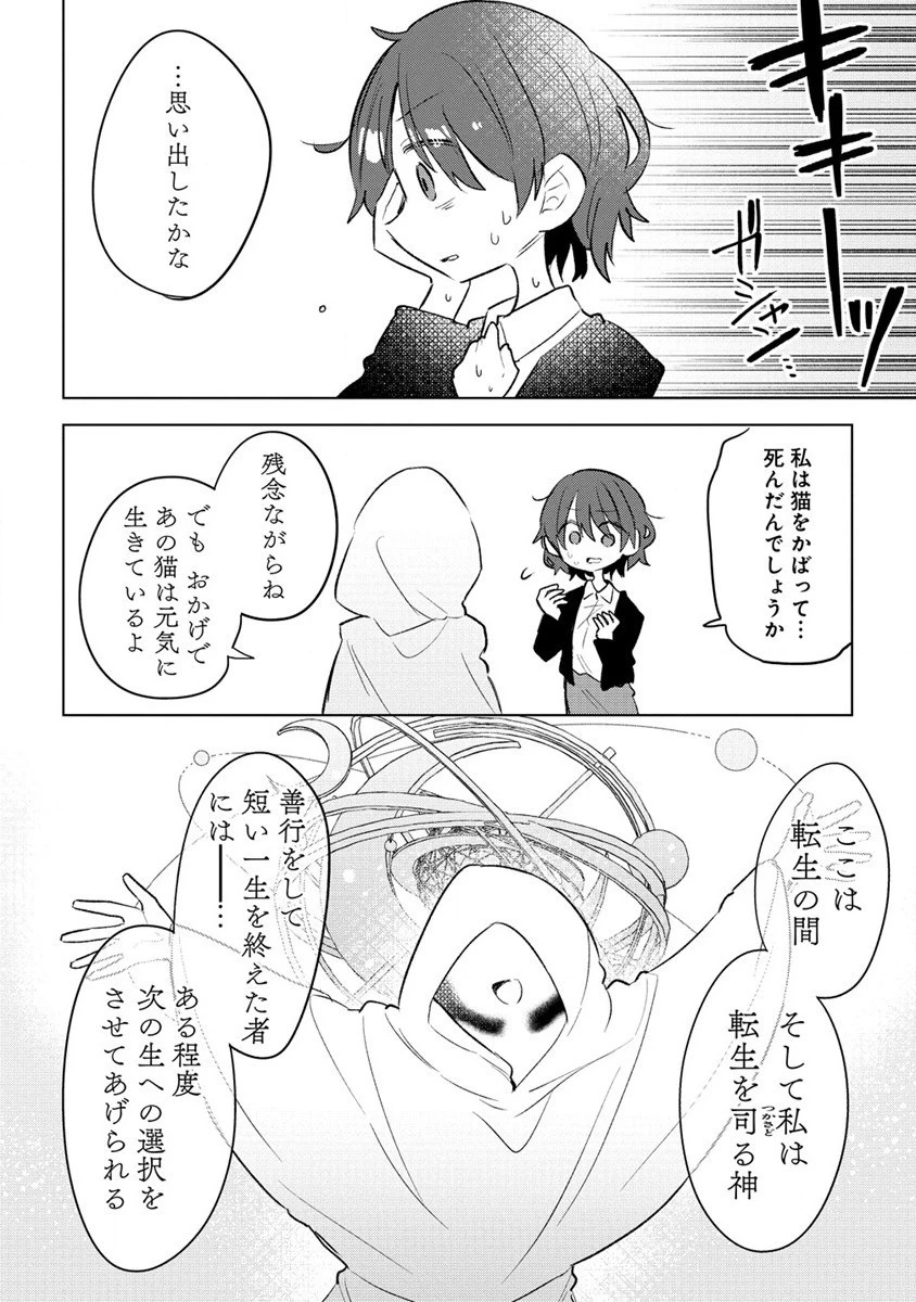 猫耳少女は森でスローライフを送りたい ～もふもふは所望しましたが、聖女とか王子様とかは注文外です～ 第1話 - 6