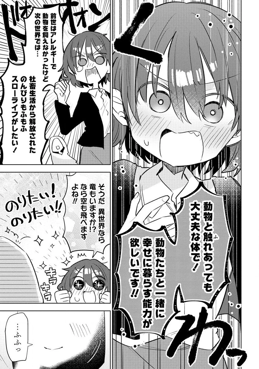 猫耳少女は森でスローライフを送りたい ～もふもふは所望しましたが、聖女とか王子様とかは注文外です～ 第1話 - 9