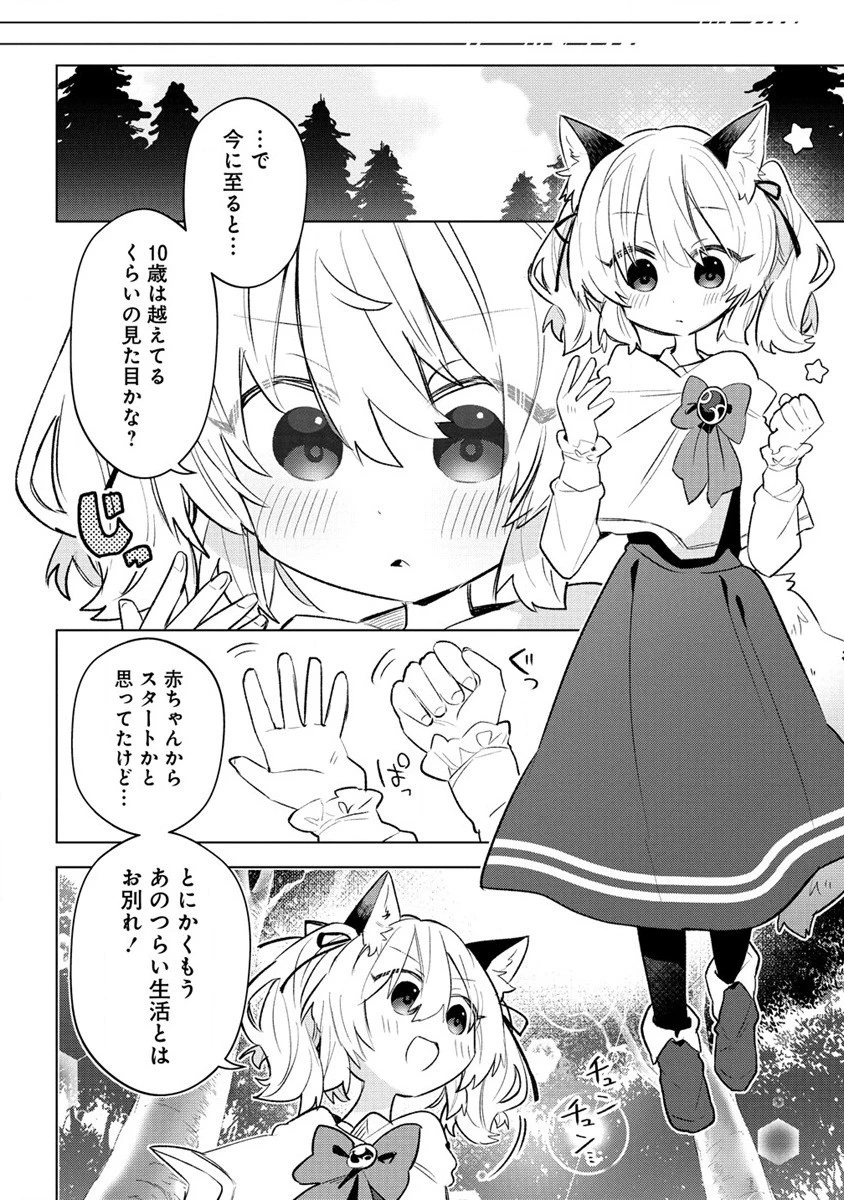 猫耳少女は森でスローライフを送りたい ～もふもふは所望しましたが、聖女とか王子様とかは注文外です～ 第1話 - 12