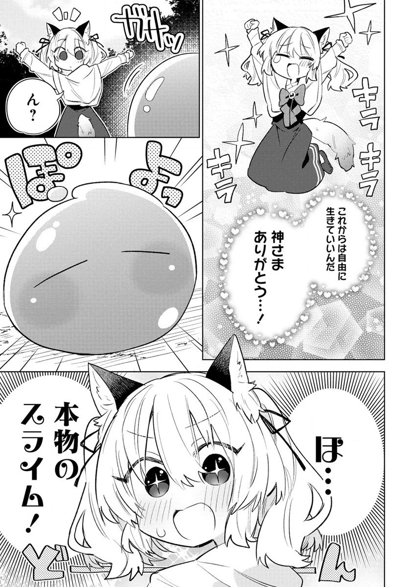 猫耳少女は森でスローライフを送りたい ～もふもふは所望しましたが、聖女とか王子様とかは注文外です～ 第1話 - 13