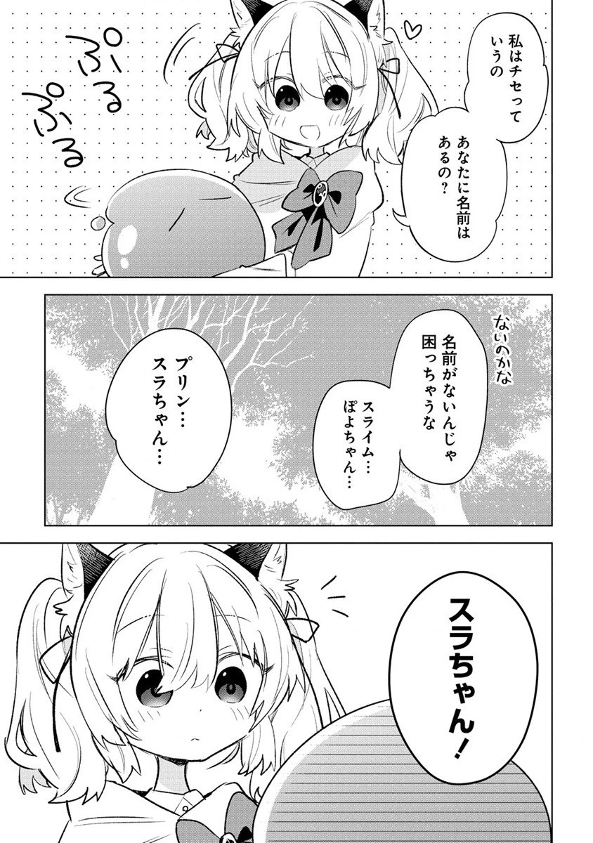 猫耳少女は森でスローライフを送りたい ～もふもふは所望しましたが、聖女とか王子様とかは注文外です～ 第1話 - 15