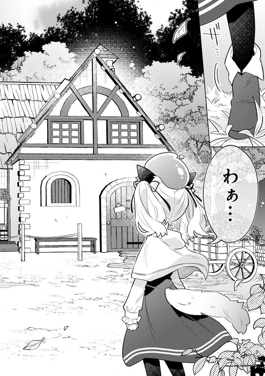 猫耳少女は森でスローライフを送りたい ～もふもふは所望しましたが、聖女とか王子様とかは注文外です～ 第1話 - 18