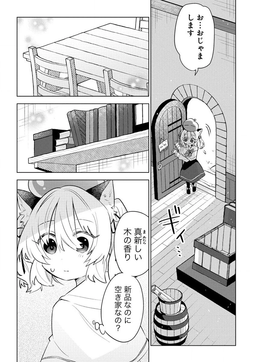 猫耳少女は森でスローライフを送りたい ～もふもふは所望しましたが、聖女とか王子様とかは注文外です～ 第1話 - 20