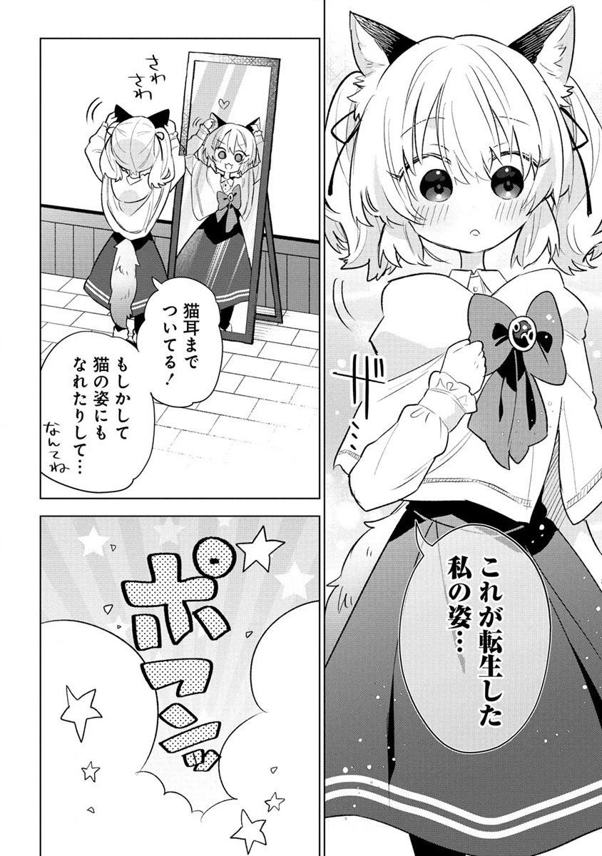 猫耳少女は森でスローライフを送りたい ～もふもふは所望しましたが、聖女とか王子様とかは注文外です～ 第1話 - 22