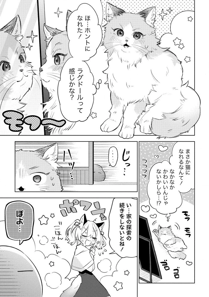 猫耳少女は森でスローライフを送りたい ～もふもふは所望しましたが、聖女とか王子様とかは注文外です～ 第1話 - 23