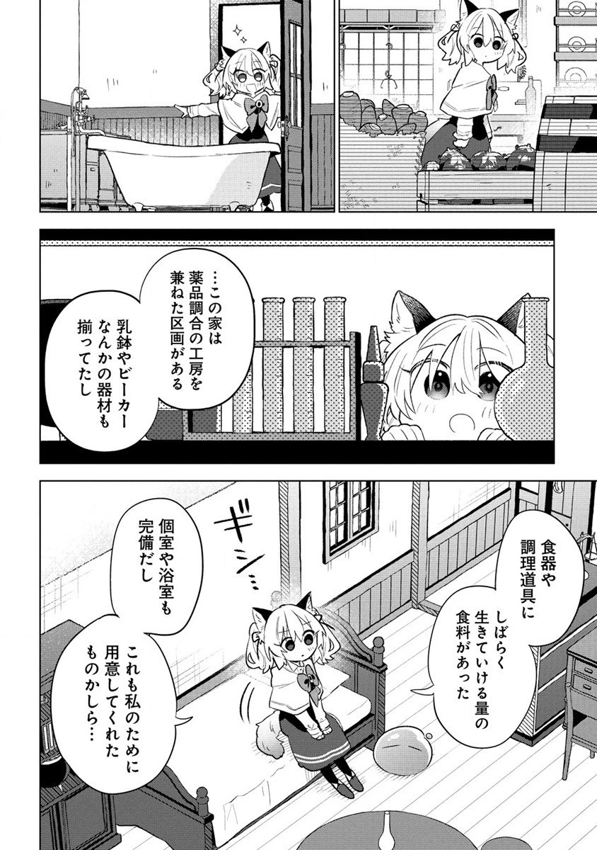 猫耳少女は森でスローライフを送りたい ～もふもふは所望しましたが、聖女とか王子様とかは注文外です～ 第1話 - 24