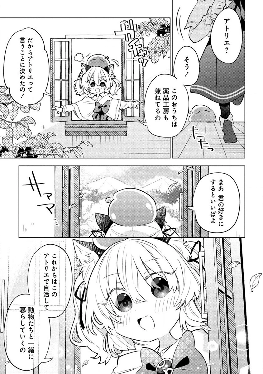 猫耳少女は森でスローライフを送りたい ～もふもふは所望しましたが、聖女とか王子様とかは注文外です～ 第1話 - 29