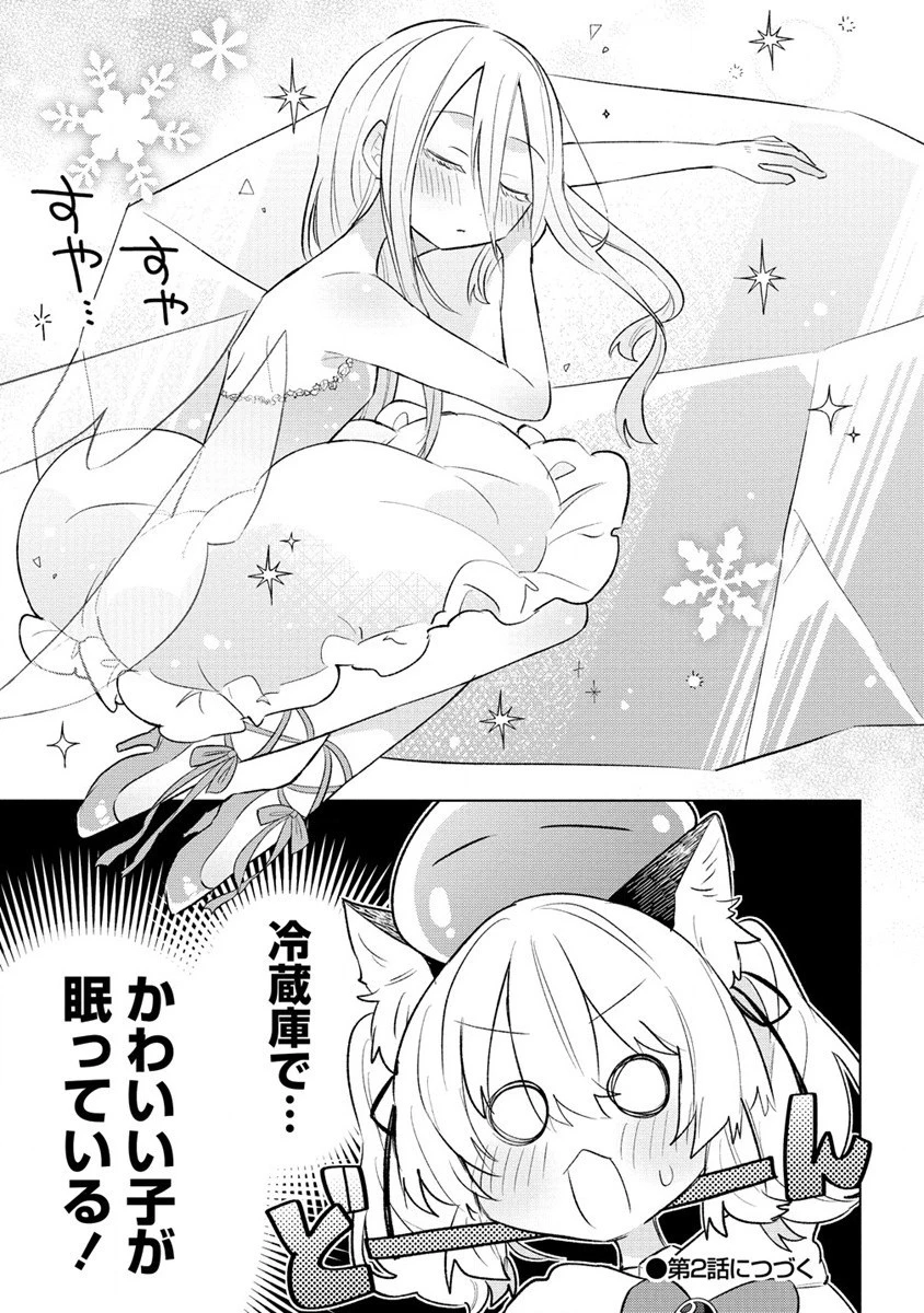 猫耳少女は森でスローライフを送りたい ～もふもふは所望しましたが、聖女とか王子様とかは注文外です～ 第1話 - 31