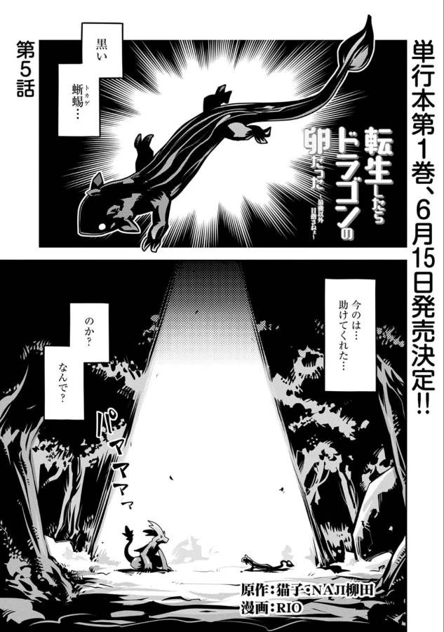 転生したらドラゴンの卵だった~最強以外目指さねぇ~ 第5話 - 2