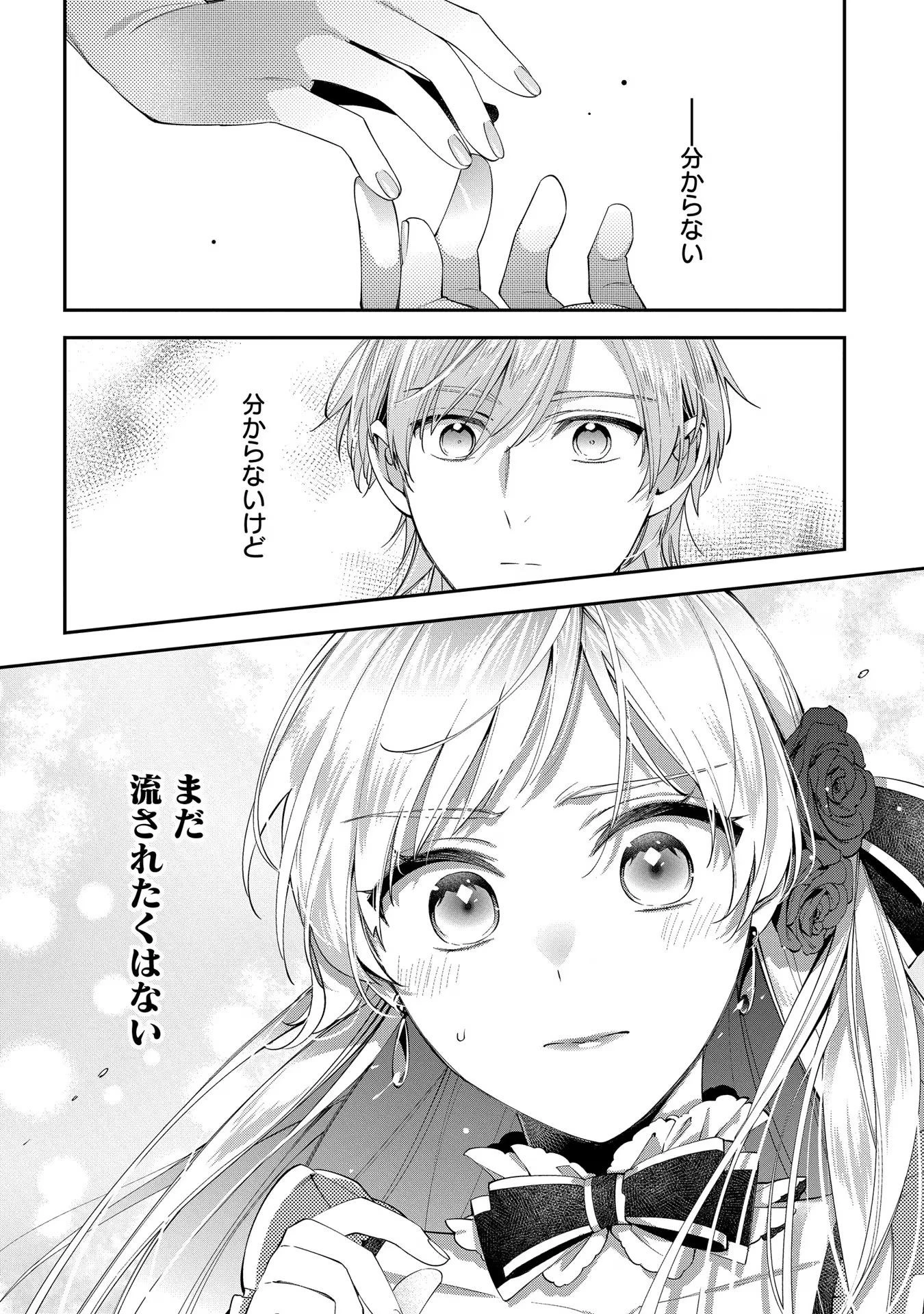 王太子に婚約破棄されたので、もうバカのふりはやめようと思います 第8話 - 24