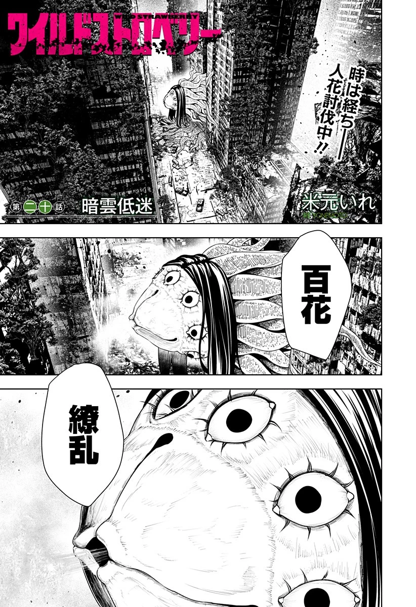 ワイルドストロベリー 第20話 - 1