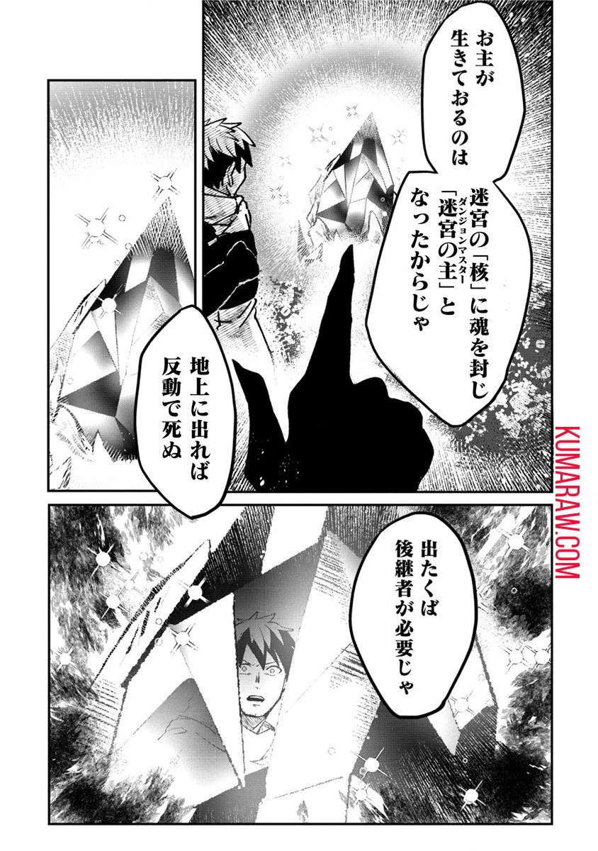 迷宮暮らしの冒険者はダンジョンマスターをやめたい 第1話 - 53