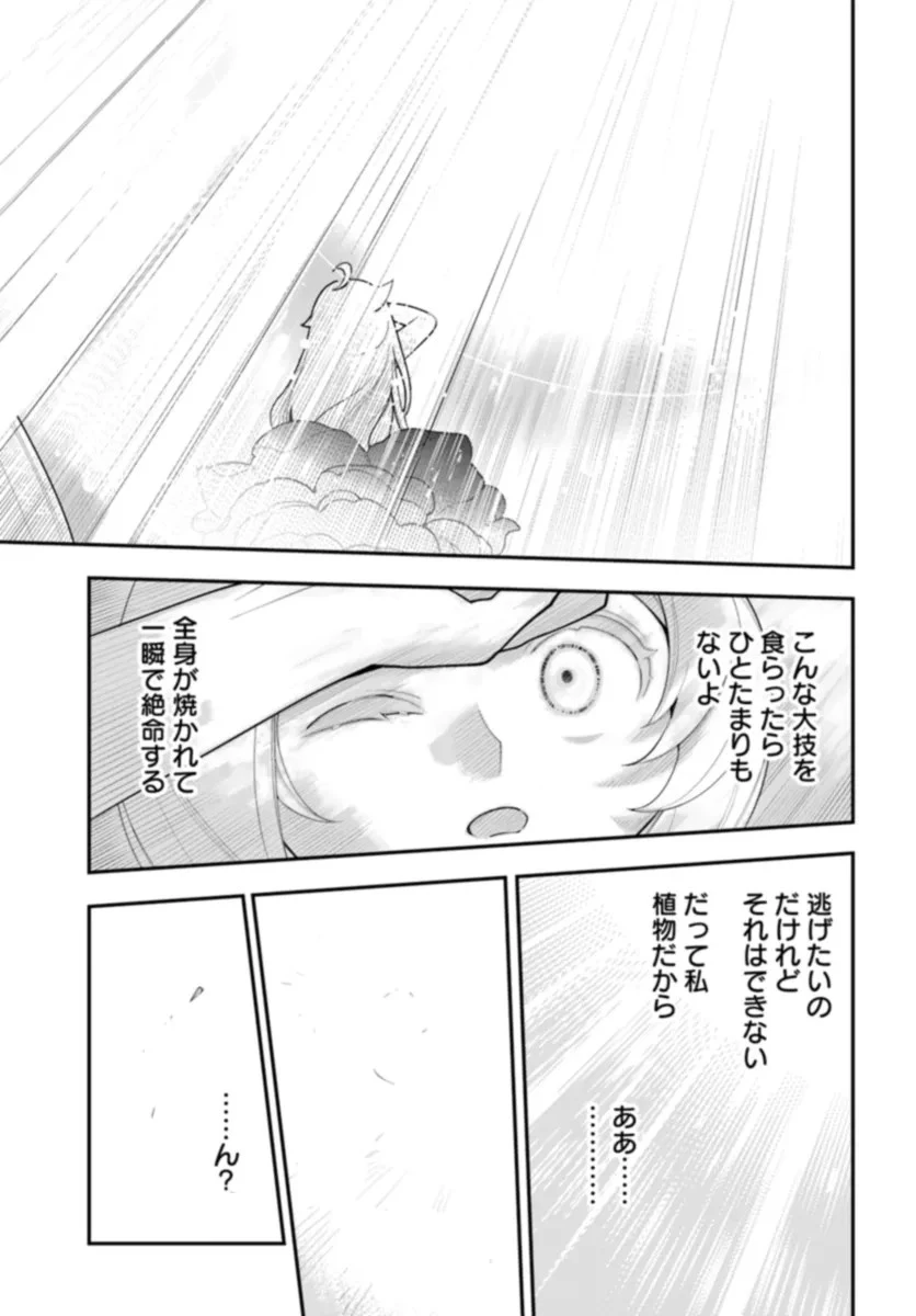 植物モンスター娘日記　～聖女だった私が裏切られた果てにアルラウネに転生してしまったので、これからは光合成をしながら静かに植物ライフを過ごします～ 第25話 - 19