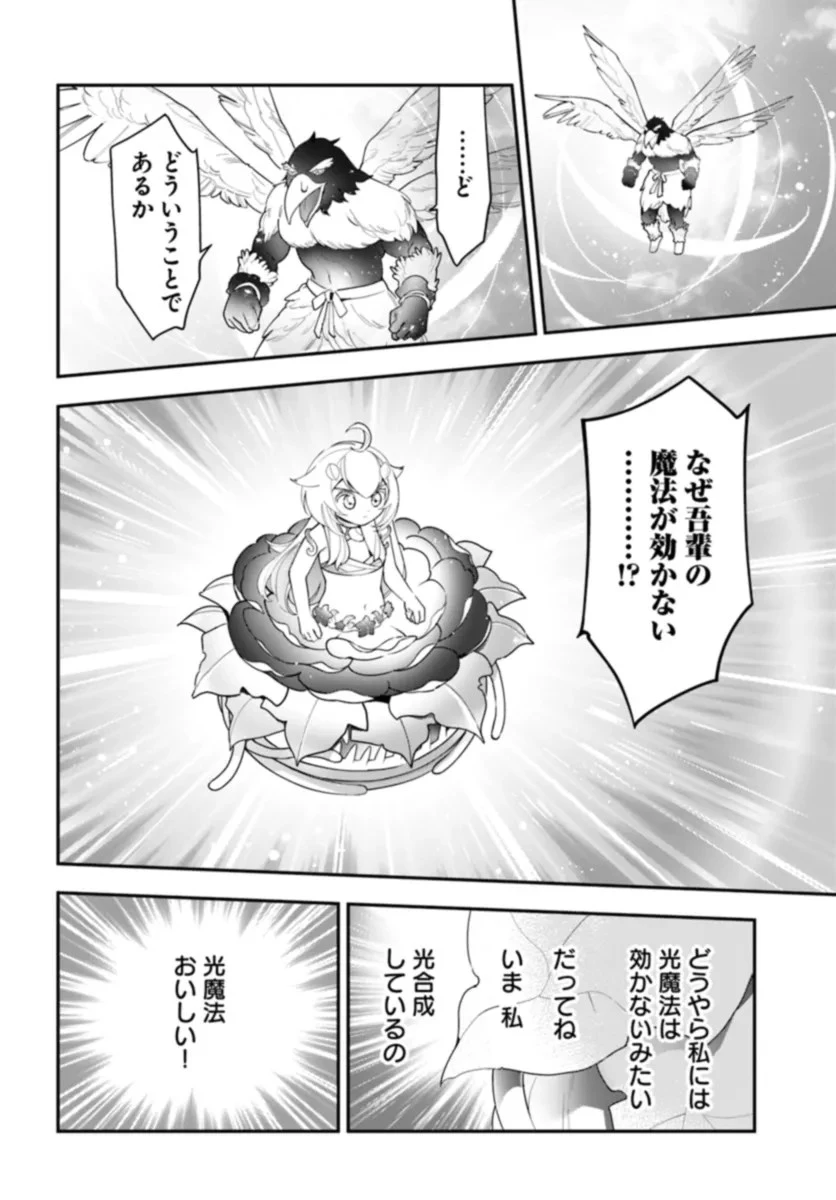 植物モンスター娘日記　～聖女だった私が裏切られた果てにアルラウネに転生してしまったので、これからは光合成をしながら静かに植物ライフを過ごします～ 第25話 - 20