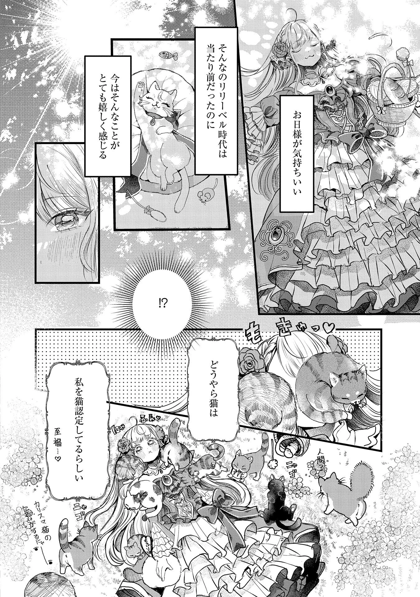 婚約者様には運命のヒロインが現れますが、暫定婚約ライフを満喫します！ にゃーん 第2話 - 10