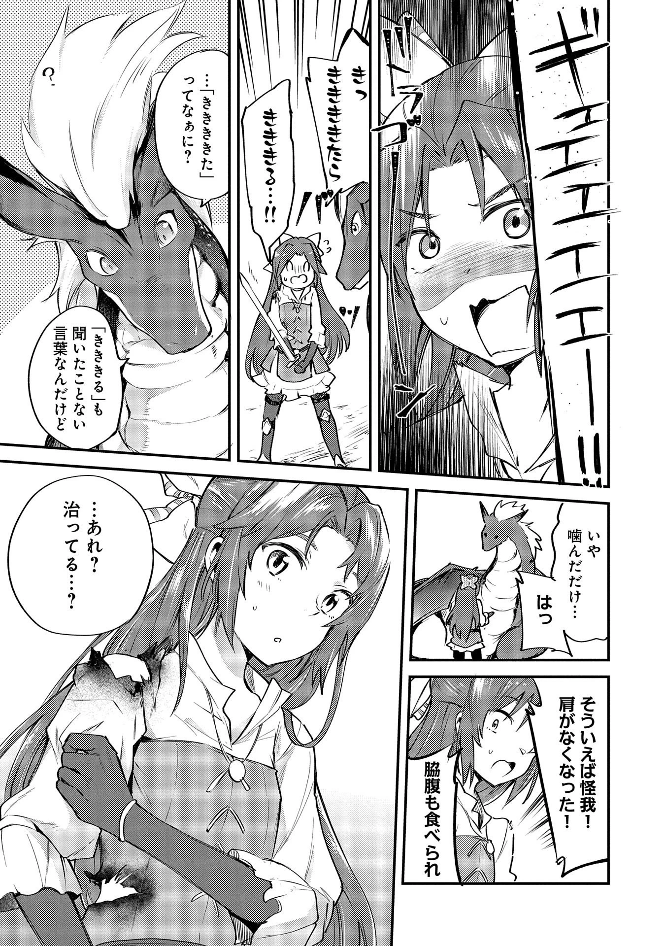 転生した大聖女は、聖女であることをひた隠す 第1話 - 34