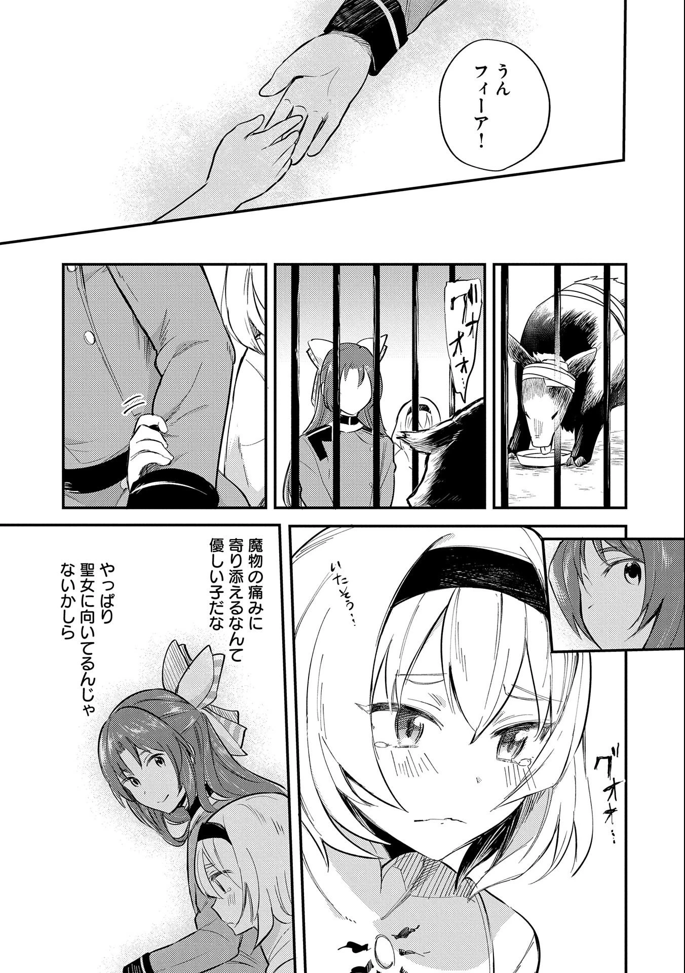 転生した大聖女は、聖女であることをひた隠す 第8話 - 25