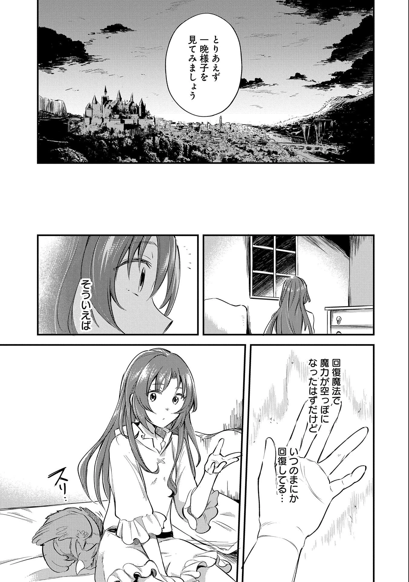転生した大聖女は、聖女であることをひた隠す 第8話 - 39