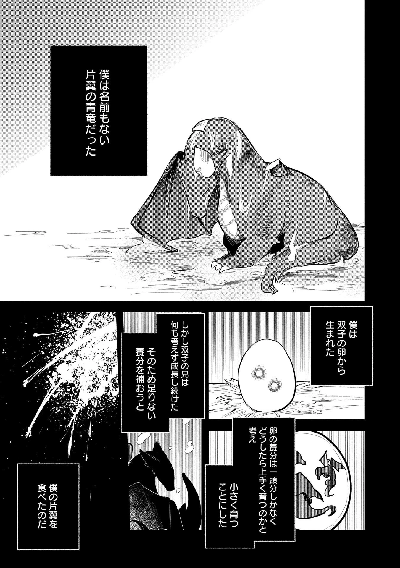 転生した大聖女は、聖女であることをひた隠す 第14話 - 3