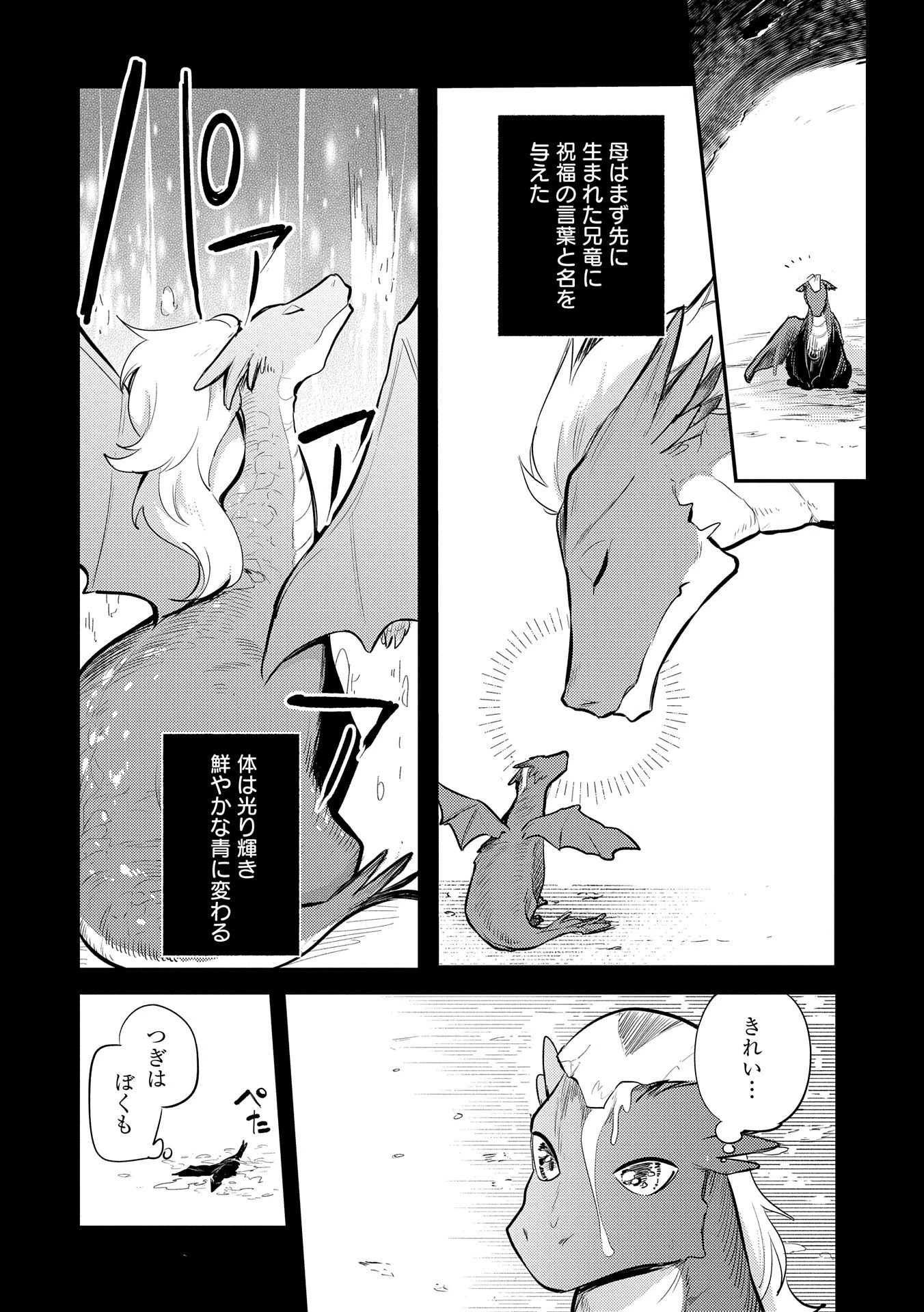 転生した大聖女は、聖女であることをひた隠す 第14話 - 4