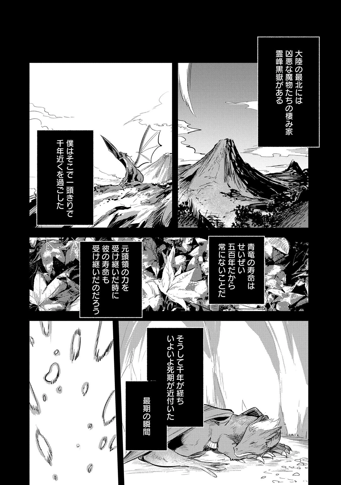 転生した大聖女は、聖女であることをひた隠す 第14話 - 30