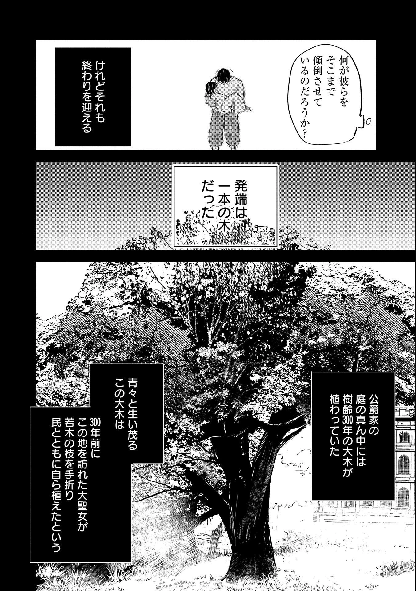 転生した大聖女は、聖女であることをひた隠す 第24話 - 24