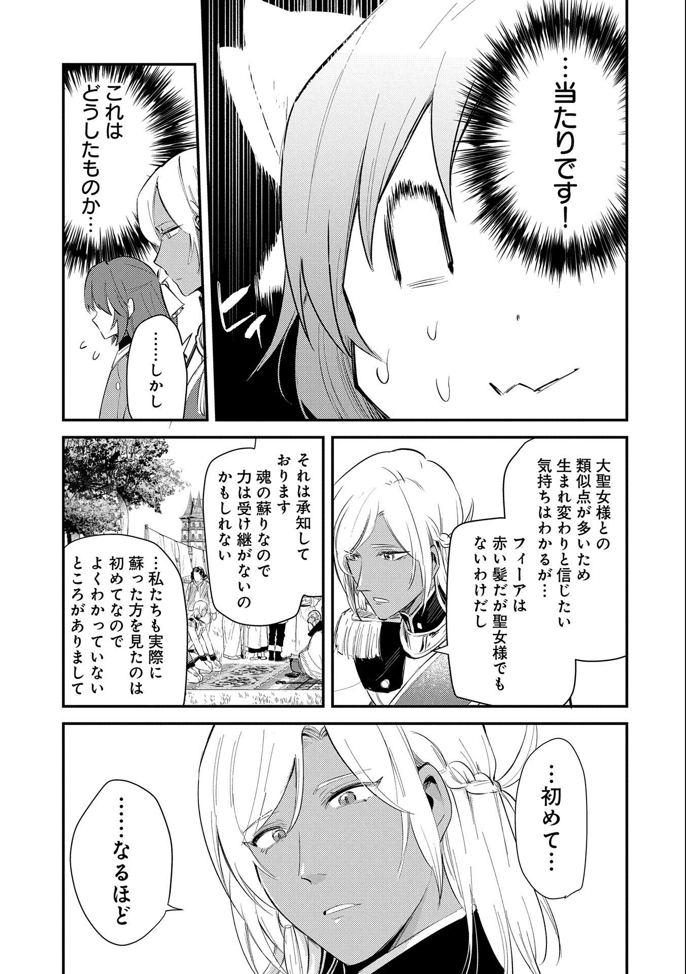転生した大聖女は、聖女であることをひた隠す 第26話 - 23