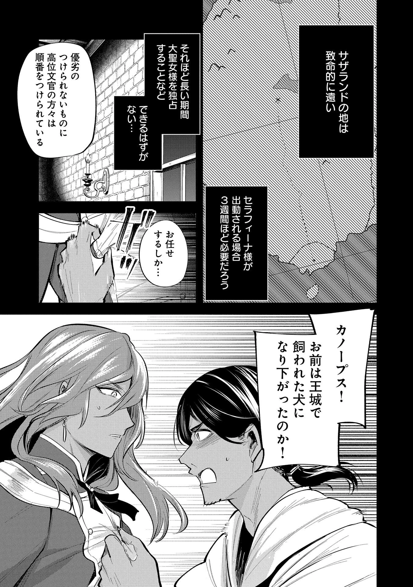 転生した大聖女は、聖女であることをひた隠す 第28話 - 17