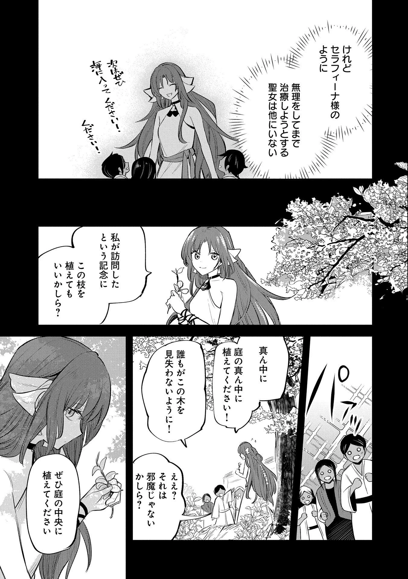 転生した大聖女は、聖女であることをひた隠す 第29話 - 19