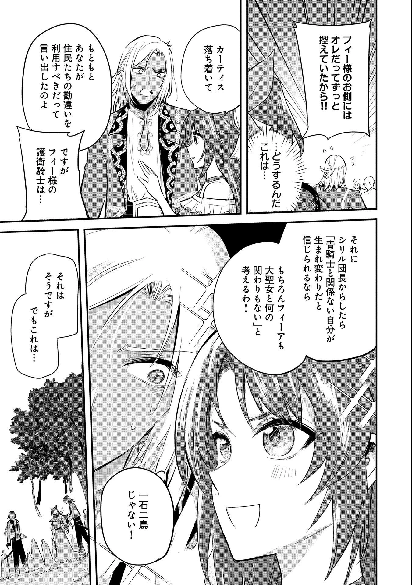 転生した大聖女は、聖女であることをひた隠す 第35話 - 29