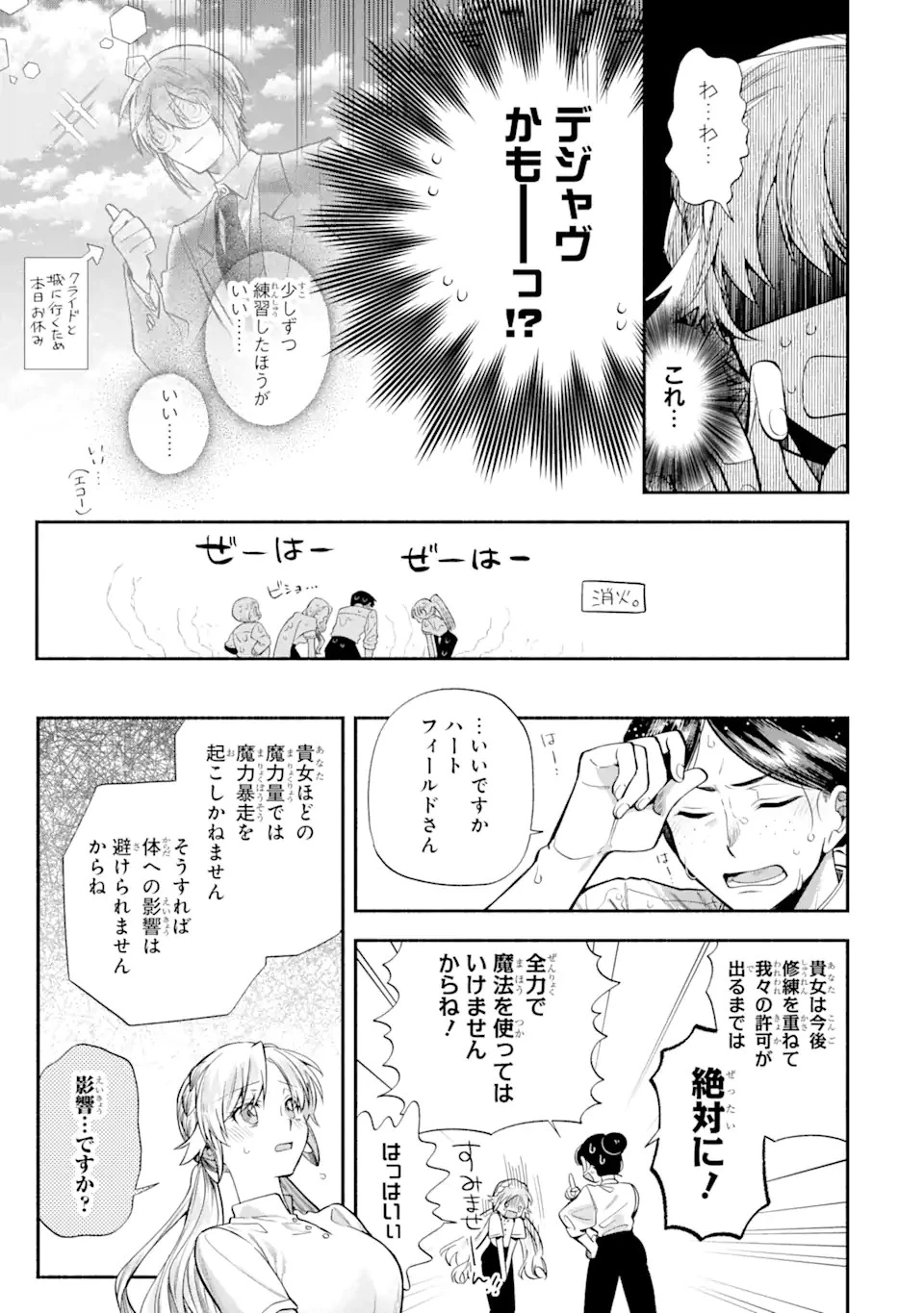 家から逃げ出したい私が、うっかり憧れの大魔法使い様を買ってしまったら 第26話 - 9