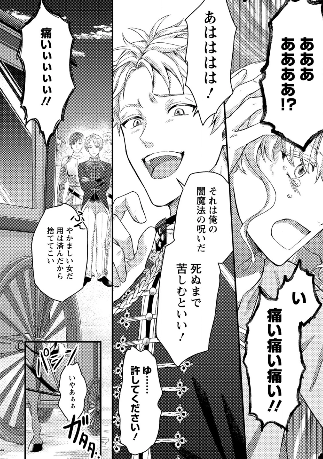 呪われ令嬢の幸せ探し ～婚約破棄されましたが、謎の魔法使いに出会って人生が変わりました～ 第1話 - 16