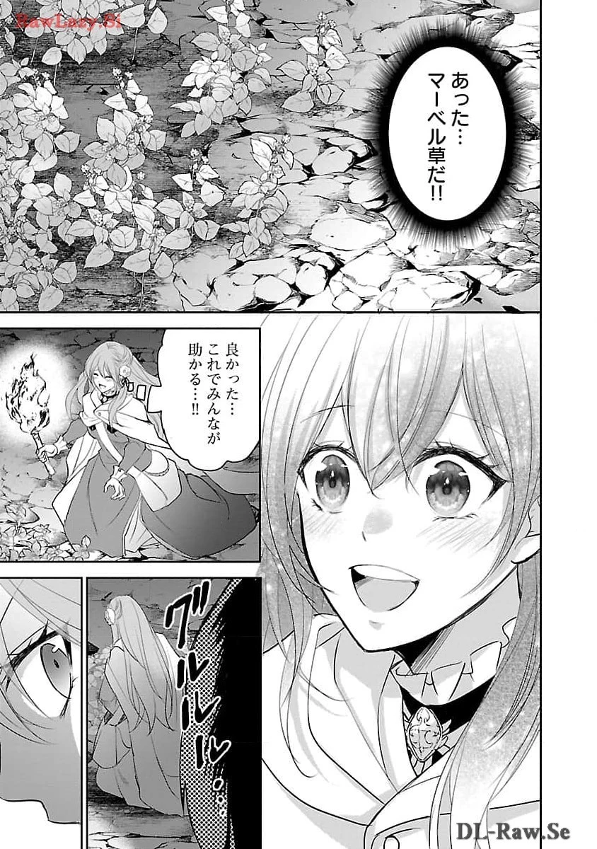 憧れの聖女になりましたが、全てを奪われたので復讐します。 第5話 - 17