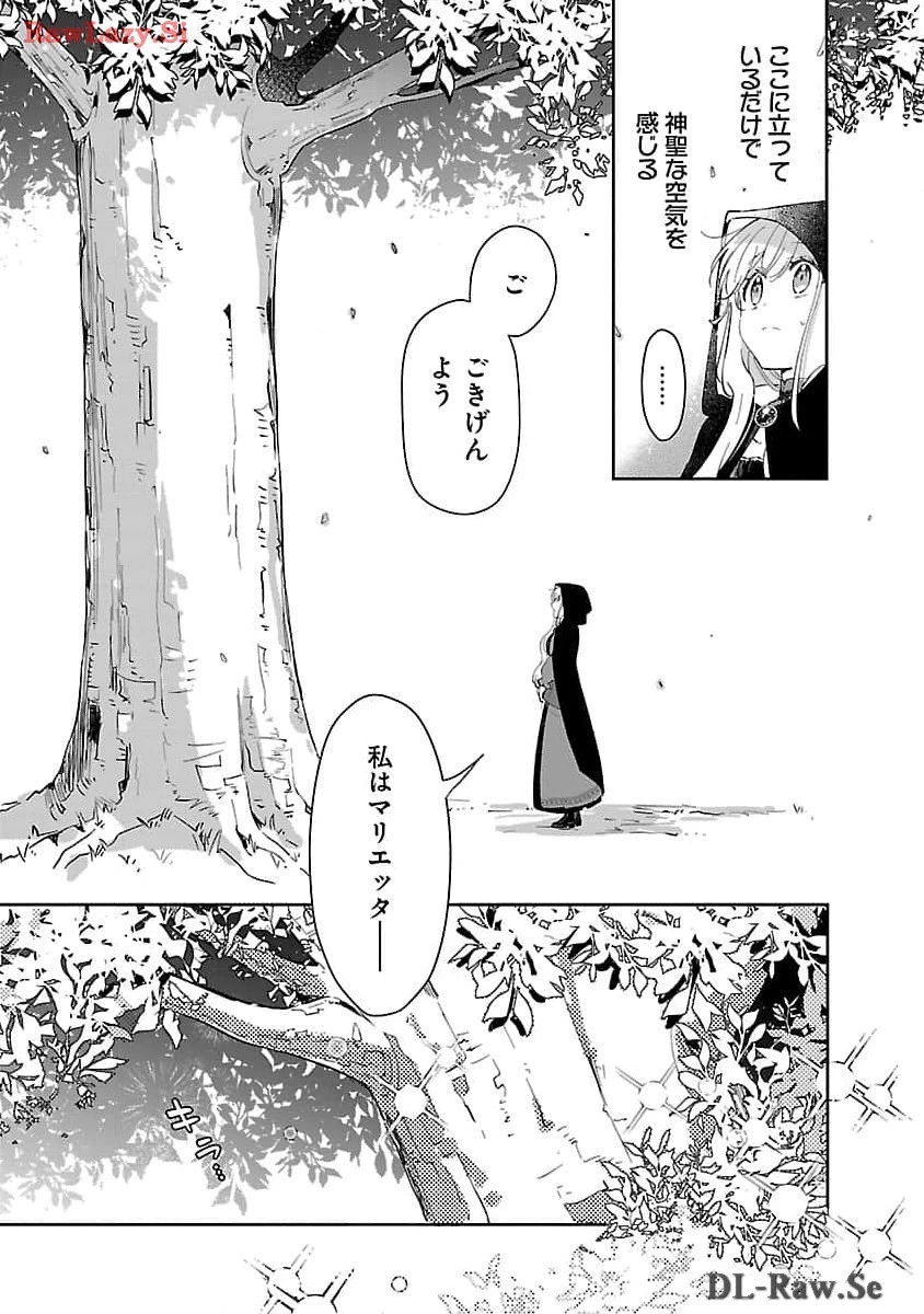 嫌われ魔女と体が入れ替わったけれど、私は今日も元気に暮らしています！ 第13話 - 15