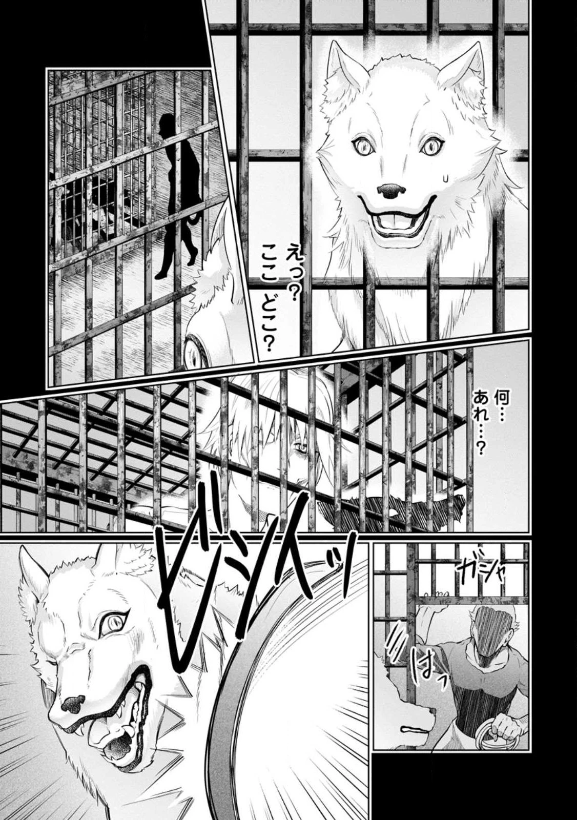 騙され裏切られ処刑された私が……誰を信じられるというのでしょう? 第17話 - 7