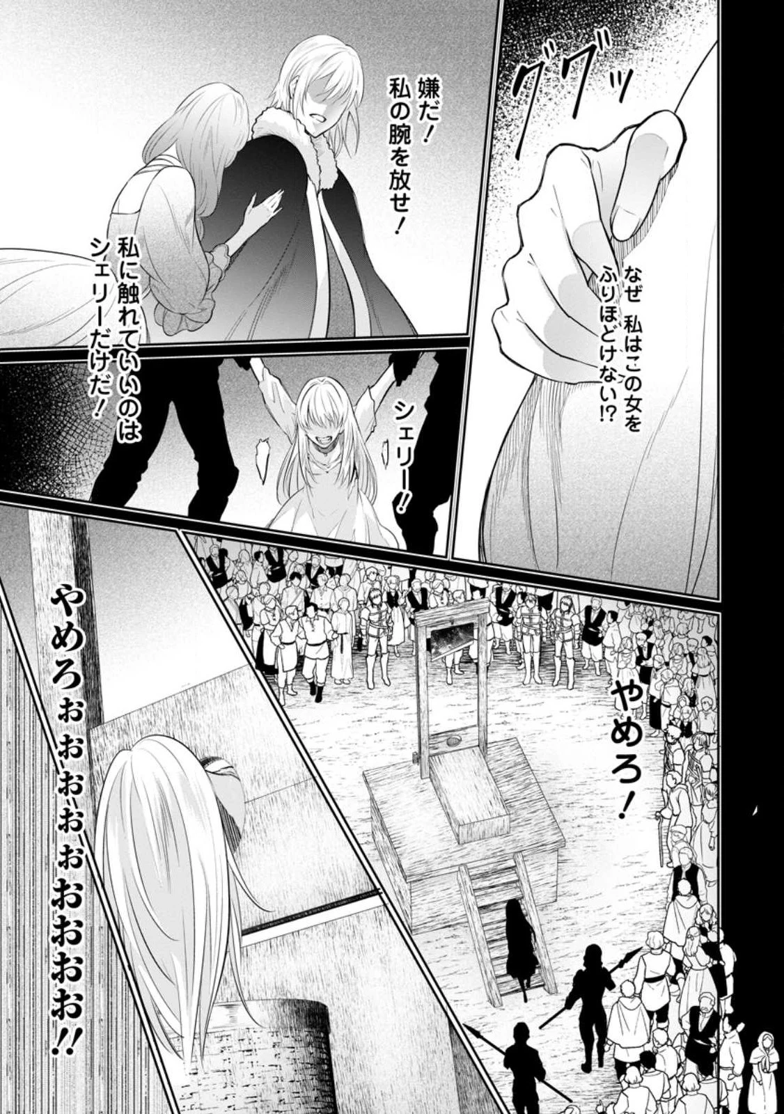 騙され裏切られ処刑された私が……誰を信じられるというのでしょう? 第23話 - 7