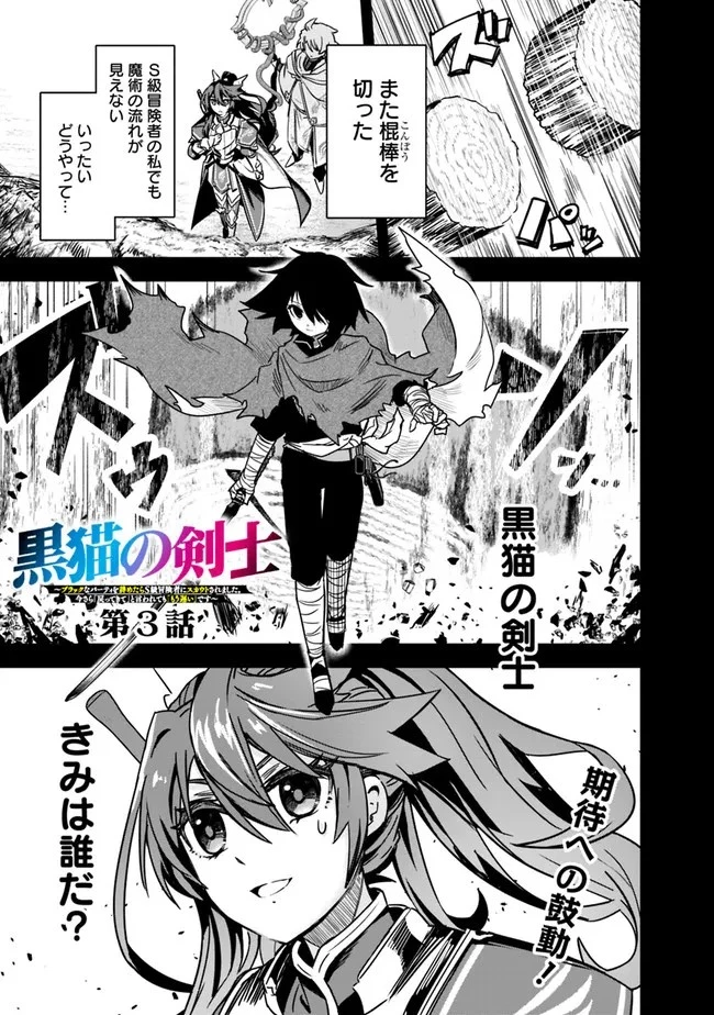 黒猫の剣士 ～ブラックなパーティを辞めたらS級冒険者にスカウトされました。今さら「戻ってきて」と言われても「もう遅い」です～ 第3話 - 1