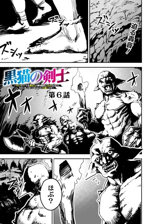 黒猫の剣士 ～ブラックなパーティを辞めたらS級冒険者にスカウトされました。今さら「戻ってきて」と言われても「もう遅い」です～ 第6話 - 1