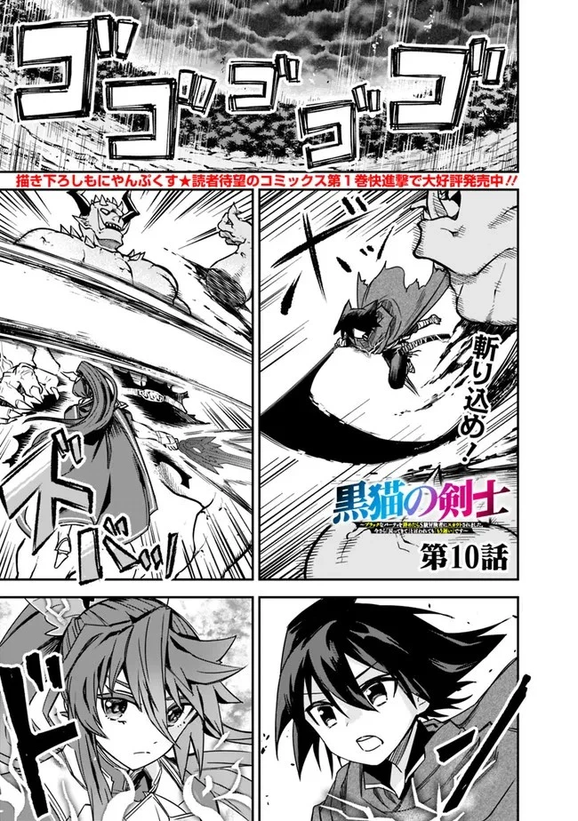 黒猫の剣士 ～ブラックなパーティを辞めたらS級冒険者にスカウトされました。今さら「戻ってきて」と言われても「もう遅い」です～ 第10話 - 1