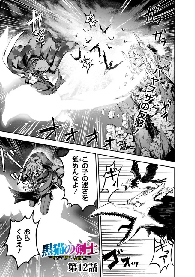黒猫の剣士 ～ブラックなパーティを辞めたらS級冒険者にスカウトされました。今さら「戻ってきて」と言われても「もう遅い」です～ 第12話 - 1