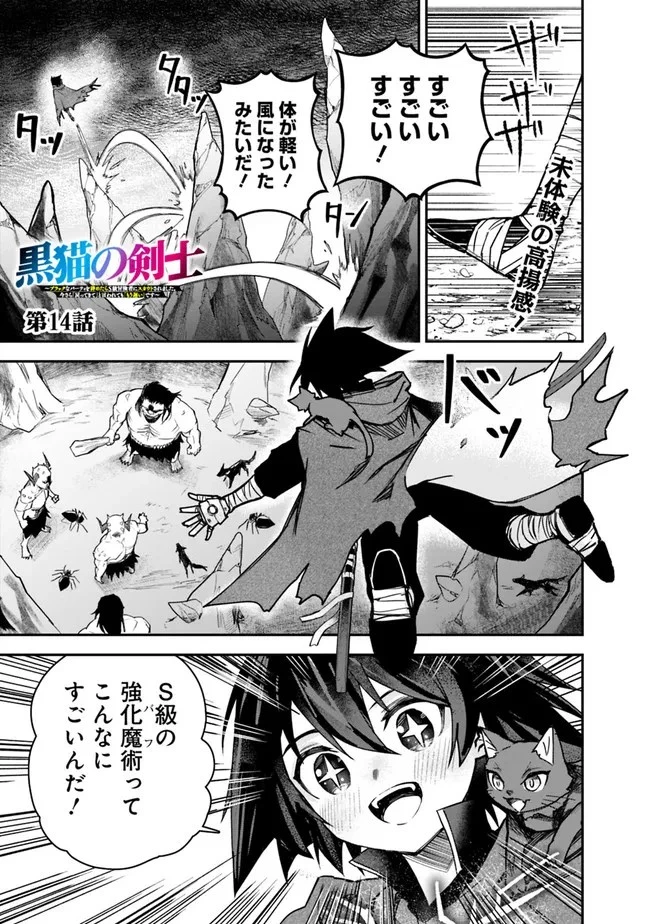 黒猫の剣士 ～ブラックなパーティを辞めたらS級冒険者にスカウトされました。今さら「戻ってきて」と言われても「もう遅い」です～ 第14話 - 1