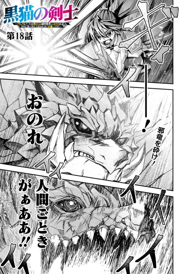 黒猫の剣士 ～ブラックなパーティを辞めたらS級冒険者にスカウトされました。今さら「戻ってきて」と言われても「もう遅い」です～ 第18話 - 1