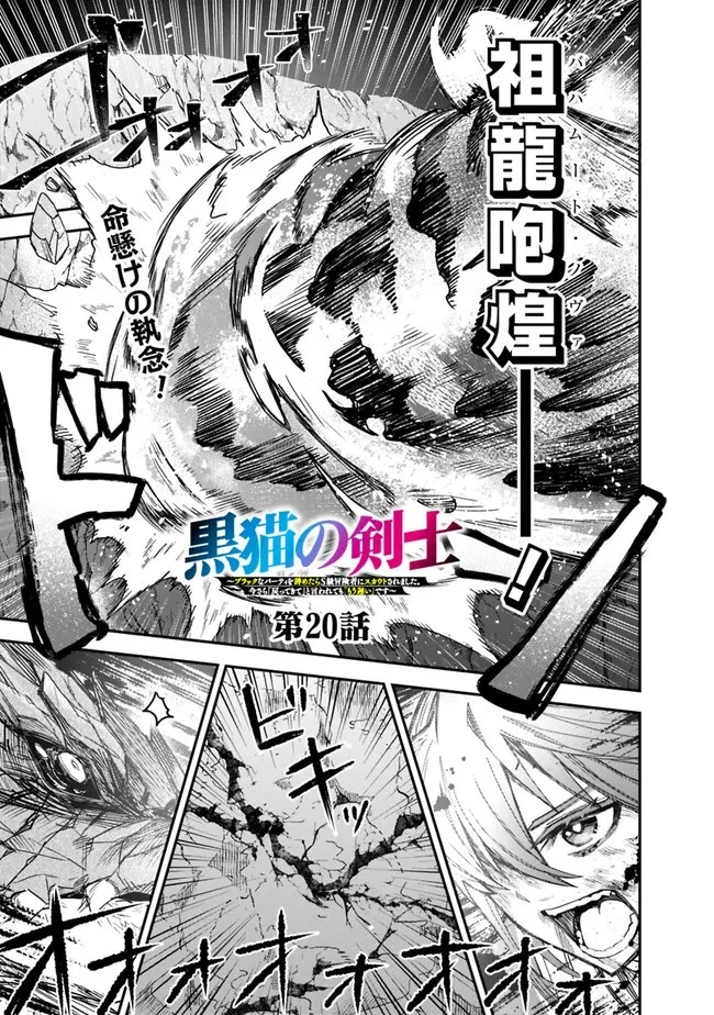 黒猫の剣士 ～ブラックなパーティを辞めたらS級冒険者にスカウトされました。今さら「戻ってきて」と言われても「もう遅い」です～ 第20話 - 1
