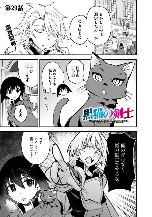 黒猫の剣士 ～ブラックなパーティを辞めたらS級冒険者にスカウトされました。今さら「戻ってきて」と言われても「もう遅い」です～ 第29話 - 1