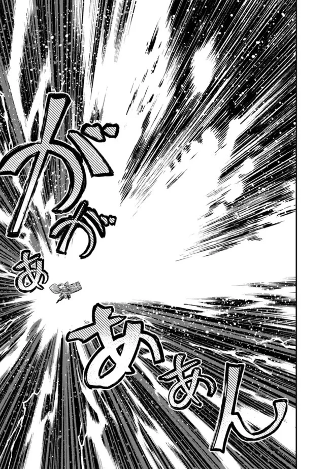 黒猫の剣士 ～ブラックなパーティを辞めたらS級冒険者にスカウトされました。今さら「戻ってきて」と言われても「もう遅い」です～ 第46話 - 15